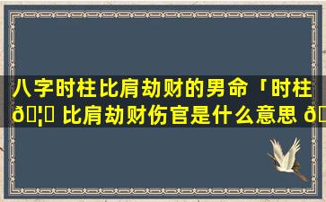 八字时柱比肩劫财的男命「时柱 🦋 比肩劫财伤官是什么意思 🦉 」